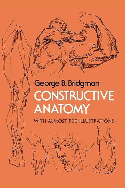 Constructive anatomy