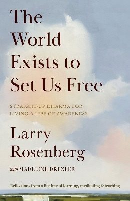 The World Exists to Set Us Free: Straight-Up Dharma for Living a Life of Awareness