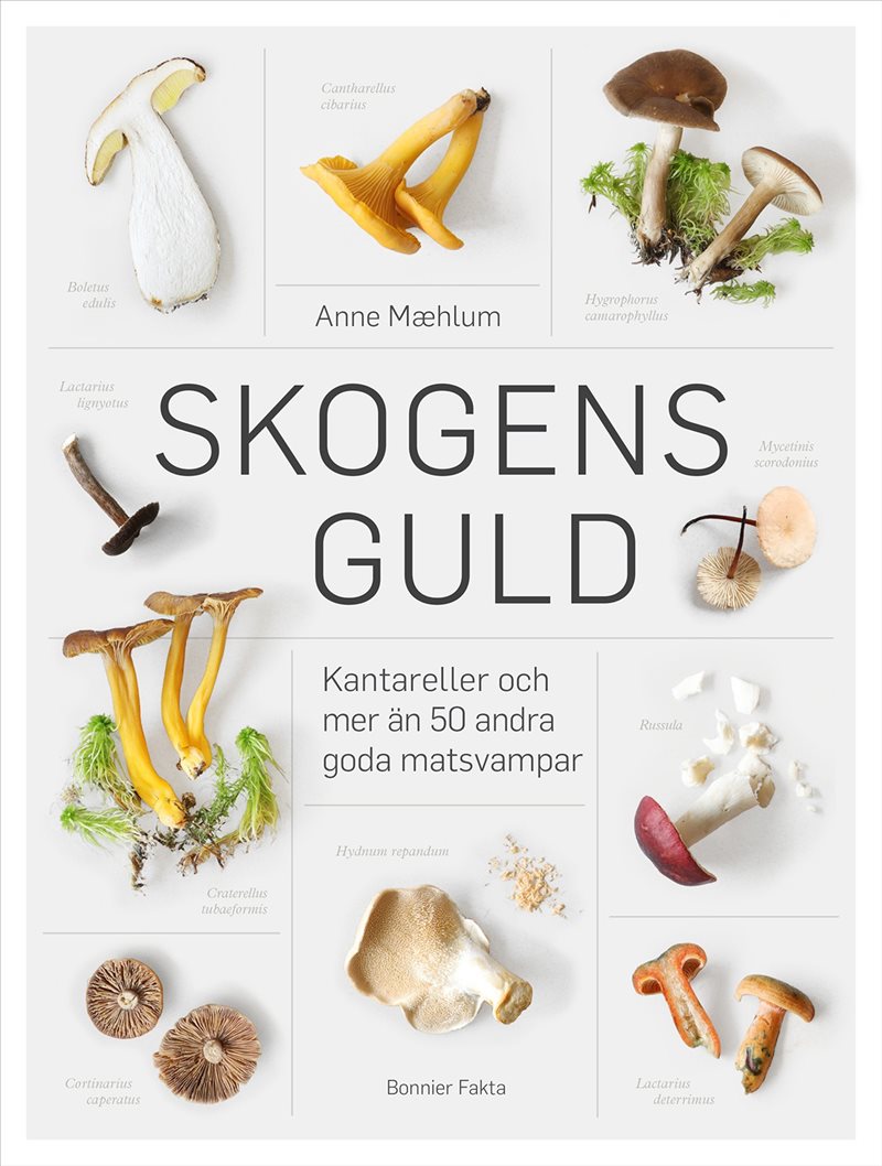 Skogens guld