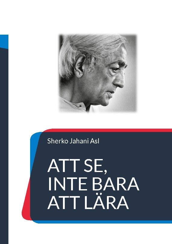 Att se, inte bara att lära : Utbildning, frihet och den blick som formar mä