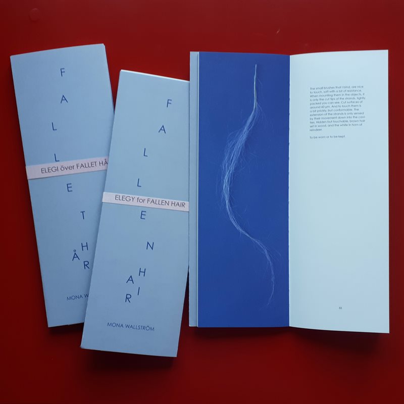 Fallet hår / Fallen Hair